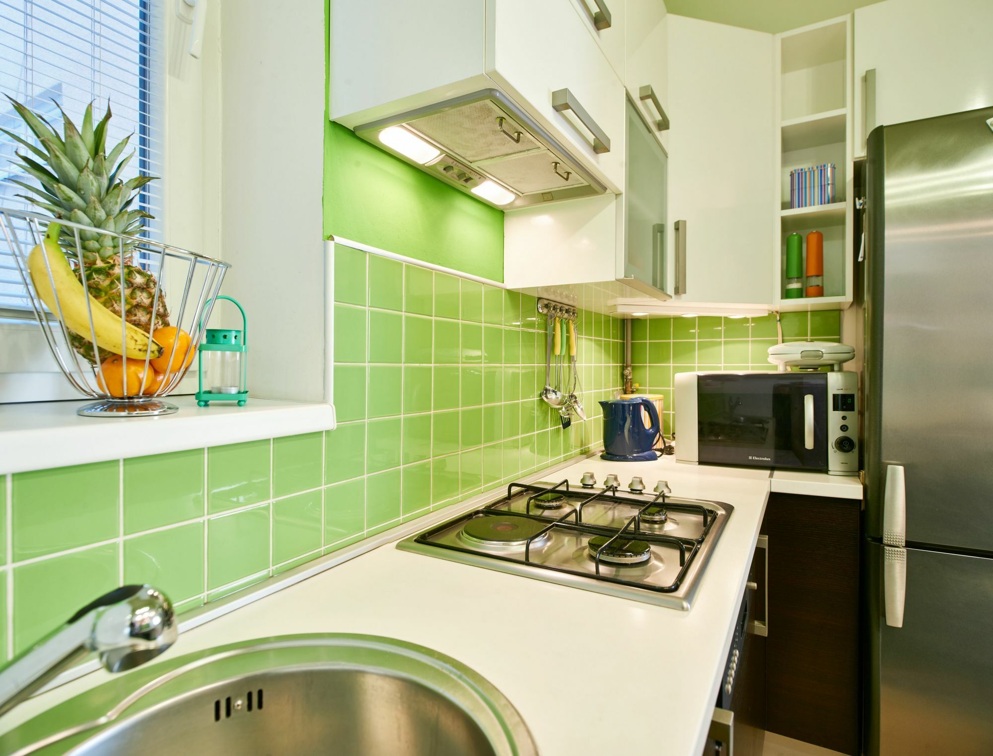 Studio Apartment Green Wall Appartamento Zagabria